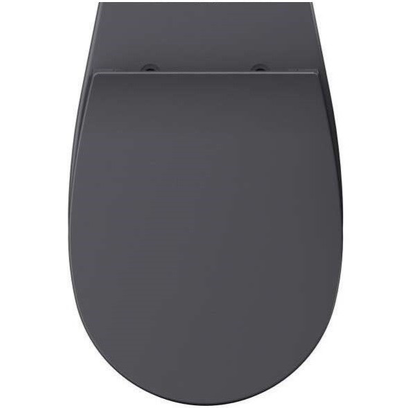 Сиденье для унитаза ISVEA Sentimenti Neo 40D80 с крышкой цвет антрацит матовый 40D80522I-S