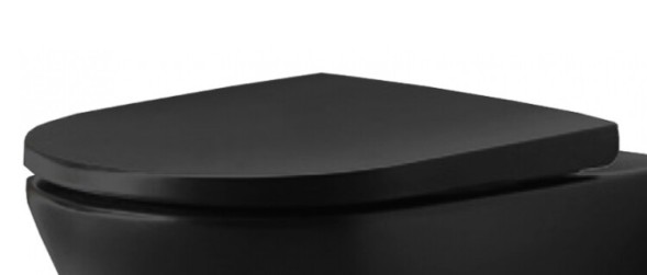 Duravit Сиденье для унитаза, D-Neo, шг 376*441, цвет антрацит матовый (аналог 0021691300) (ПРОДАЕТСЯ ТОЛЬКО В КОМПЛЕКТЕ С ОСНОВНЫМ ИЗДЕЛИЕМ) 0021691394