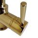 Paini Смеситель для кухни Cox 78OT572, золото, золото (OT)