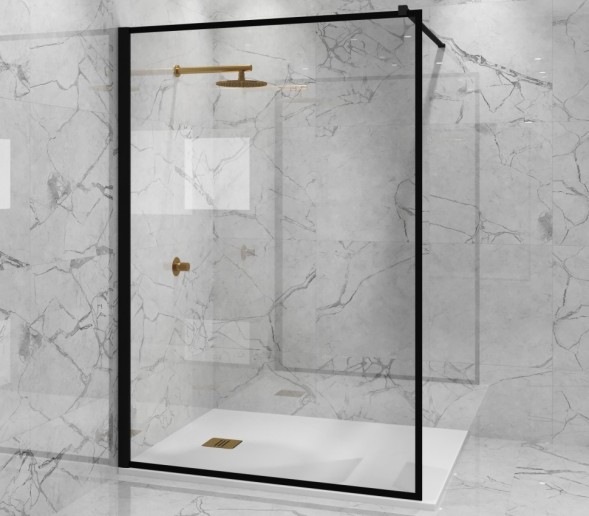 Paini Душевая перегородка 100x195 рисунок рамка