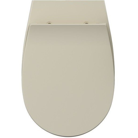Сиденье для унитаза ISVEA Sentimenti Neo 40D80 с крышкой цвет слоновая кость матовый 40D80532I-S