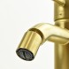 Paini 78PJ304O Смеситель для биде Кокс , брашированное золото