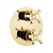 Смеситель для душа встраиваемый с термостатом Webert Armony AM970901010, золото