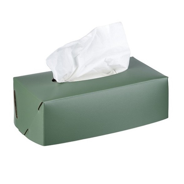 Салфетница COLOMBO DESIGN ADJ 016.60/50 настольная цвет эвкалипт/небесный