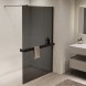 Vincea Душевая перегородка Волк-Ин (Walk-In) VSW-1HR900CGB, 900*2000, черный, стекло тонированное