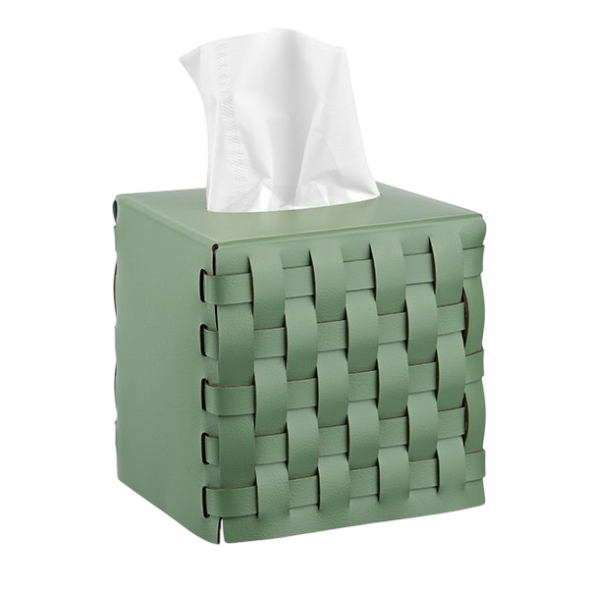 Салфетница COLOMBO DESIGN ADJ 115.60/50 настольная цвет эвкалипт/небесный