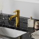 Paini 78PJ205O Смеситель для раковины Кокс , брашированное золото