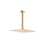 Верхний душ Webert AC0942794, матовое золото