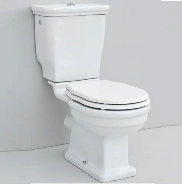 Чаша унитаза Artceram Hermitage напольный цвет белый  HEV008 01 00