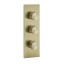 Gessi Смеситель для душа, 316 Bath Shower, на 2 потребителя, цвет Латунь матовая  54514#727