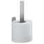 Держатель запасного рулона бумаги COLOMBO DESIGN OVER B7090 цвет нержавеющая сталь
