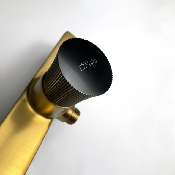 Paini 18PJ511PZ Смеситель для душа Домус , брашированные золото/чёрный