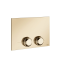 Gessi Клавиша смыва, VENTI20, для унитаза, шгв 215*12*145, цвет брашированный никель 54657#149