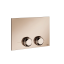 Gessi Клавиша смыва, VENTI20, для унитаза, шгв 215*12*145, цвет золото   54657#246