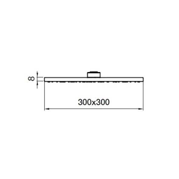 Верхний душ Webert AC1013015STEEL, хром