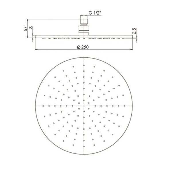 Paini 50PW759TT25 Верхний душ круглый 250 мм, брашированный никель