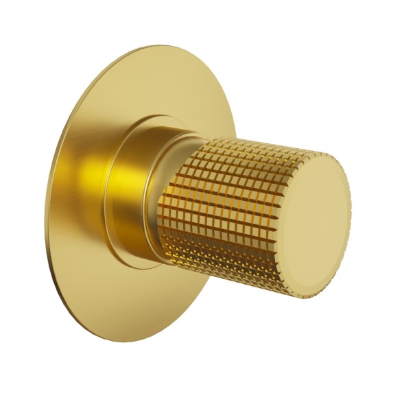 Paini 7GPJ690 Смеситель для душа Кокс Грип встраиваемый, брашированное золото