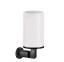 Gessi Стакан, Inciso, шгв 75*105*176, цвет белый#состаренная бронза  58507#187