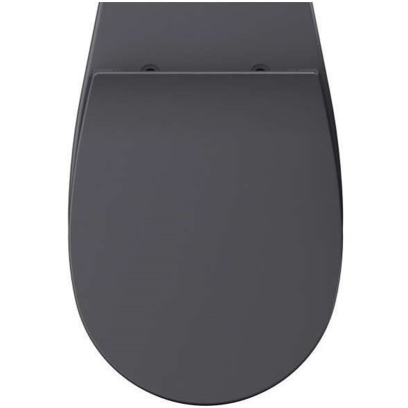 Сиденье для унитаза ISVEA Sentimenti Neo 40D10 с крышкой цвет антрацит матовый 40D10522I-S