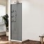 Vincea Душевая перегородка Волк-Ин (Walk-In) VSW-1HWS110CGGM, 1100*2000, вороненая сталь, стекло тонированное