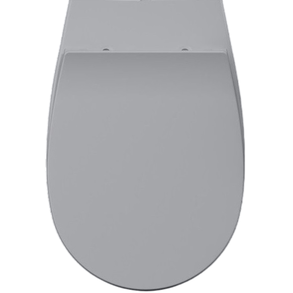 Сиденье для унитаза ISVEA Sentimenti Neo 40D10 с крышкой цвет серый бетон матовый 40D10547I-S