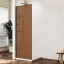 Vincea Душевая перегородка Волк-Ин (Walk-In) VSW-1HWS100GSGM, 1000*2000, вороненая сталь, стекло янтарь