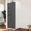 Vincea Душевая перегородка Волк-Ин (Walk-In) VSW-1HWS900GFGM, 900*2000, вороненая сталь, стекло матовое тонированное